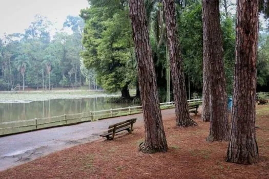 Horto Florestal prepara programação especial para crianças no feriado de 20 de novembro