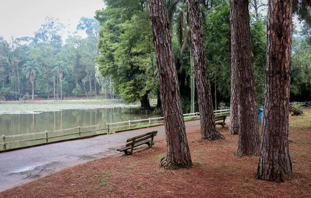 Aniversário de São Paulo: Urbia realiza tour gratuito no Parque Horto Florestal