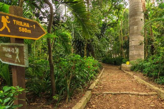 Área verde na cidade de São Paulo ultrapassa 50% do seu território