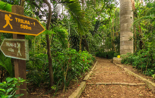 Área verde na cidade de São Paulo ultrapassa 50% do seu território