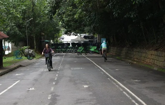 Urbia realiza primeiro Passeio Ciclístico Noturno no Parque Horto Florestal