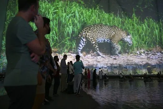 Pavilhão Brasil na Expo Dubai já recebeu 233 mil visitantes