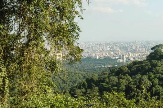 Parque Estadual da Cantareira celebra 60 anos com programação especial