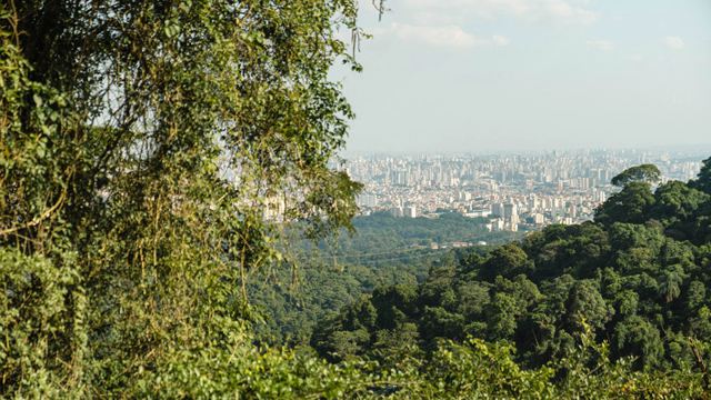 Parque Estadual da Cantareira celebra 60 anos com programação especial