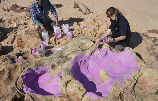 Cientistas identificam 150 pegadas de 21 espécies de dinossauros na Austrália