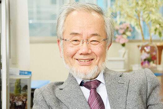 Cientista japonês leva Nobel de Medicina por pesquisa sobre células
