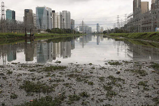 Rio Pinheiros é pulverizado com larvicida para conter mosquitos