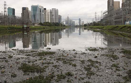 Infestação de pernilongos no Rio Pinheiros será combatida com pulverização