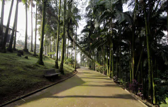 Ribeirão Pires planta árvores em homenagem às vítimas da Covid