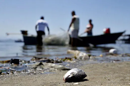 Governo pagará auxílio emergencial a pescadores de locais afetados por óleo