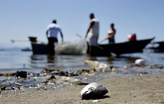 Governo pagará auxílio emergencial a pescadores de locais afetados por óleo