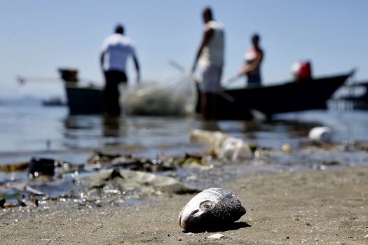 SP: projeto prevê pagamento a pescadores por coleta de lixo no mar