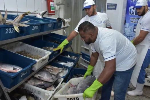 Craisa oferece diversidade de pescados para consumo na Semana Santa