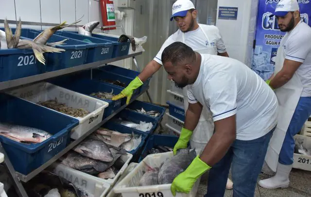 Craisa oferece diversidade de pescados para consumo na Semana Santa