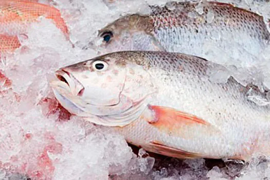 Segurança Alimentar orienta como escolher um bom peixe no feriado