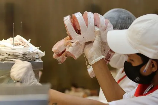 Além de tradição, pescado é opção econômica para a Semana Santa