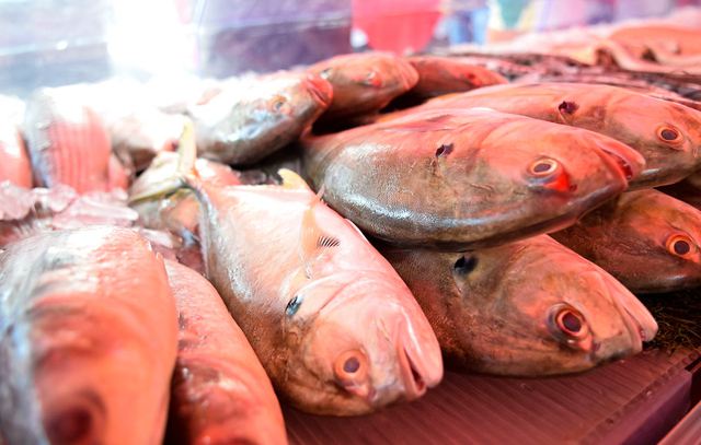 Diadema terá nove pontos de venda de pescados a partir de quarta-feira (05/04)