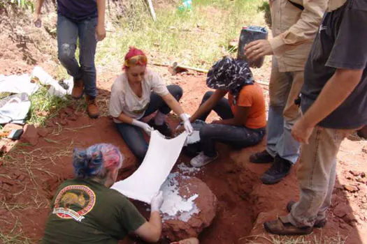 Museu Nacional anuncia descoberta de dinossauro muito raro