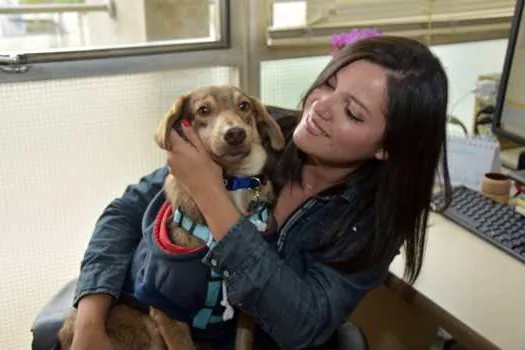 Santo André celebra Pet Day em encontro com cães na Prefeitura