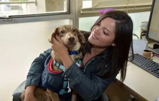 Santo André celebra Pet Day em encontro com cães na Prefeitura