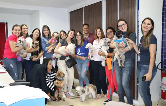 SBCTrans promoveu 1º Pet Day