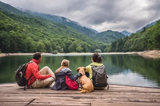 Na retomada do turismo, cidades brasileiras querem se tornar pet-friendly