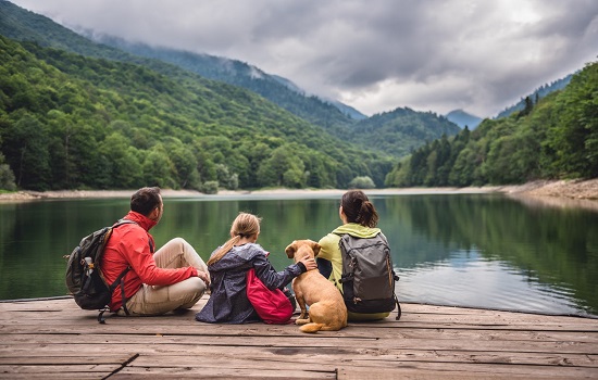 Na retomada do turismo, cidades brasileiras querem se tornar pet-friendly