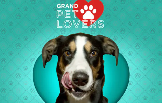 Grand Plaza Shopping promove “Grand Pet Lovers”