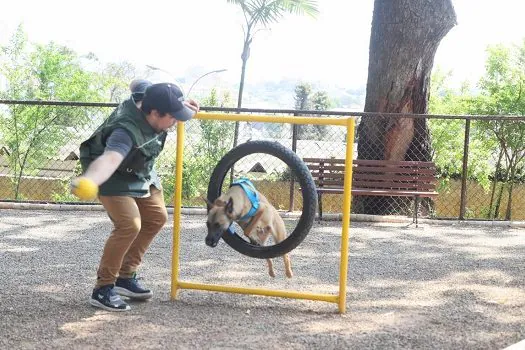 Santo André inaugura sexto Pet Parque da cidade