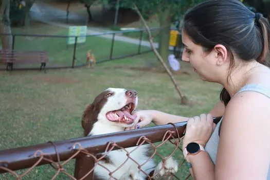 Santo André entrega Espaço Pet no Parque Norio Arimura