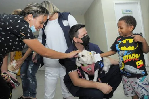 Crianças internadas no CHM recebem visita de cães durante Pet Terapia