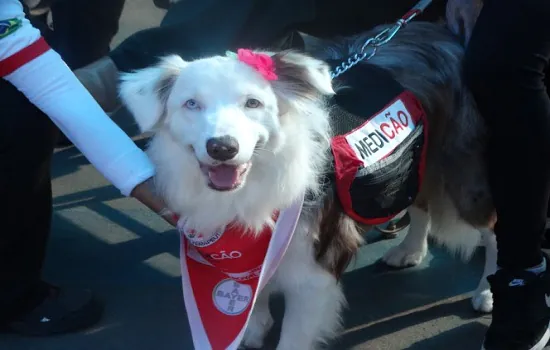 ROYAL CANIN® ? apoia Projeto de ‘Cães Terapeutas’