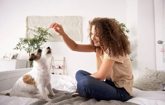 Dicas para inovar nas atividades com o animal de estimação em espaços pequenos