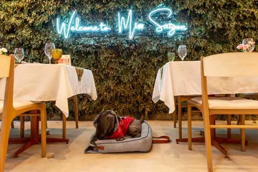 Confira as casas Petfriendly participantes da 29ª São Paulo Restaurant Week