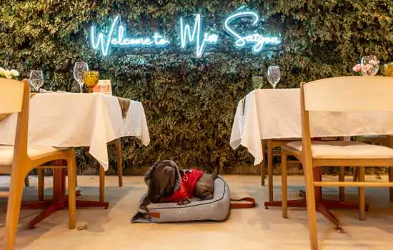 Confira as casas Petfriendly participantes da 29ª São Paulo Restaurant Week