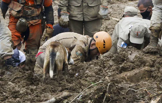 Mortes pelas chuvas em Petrópolis chegam a 120