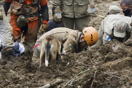 Polícia diz que mais de 130 pessoas estão desaparecidos em Petrópolis