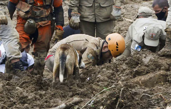 Polícia diz que mais de 130 pessoas estão desaparecidos em Petrópolis