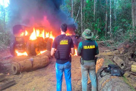 PF prende servidores do Ibama e PMs em operação contra crime ambiental