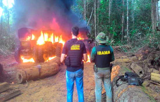 PF prende servidores do Ibama e PMs em operação contra crime ambiental