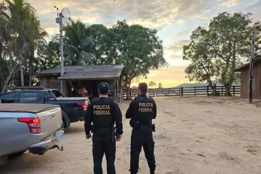 PF prende duas pessoas com madeira ilegal em terras indígenas