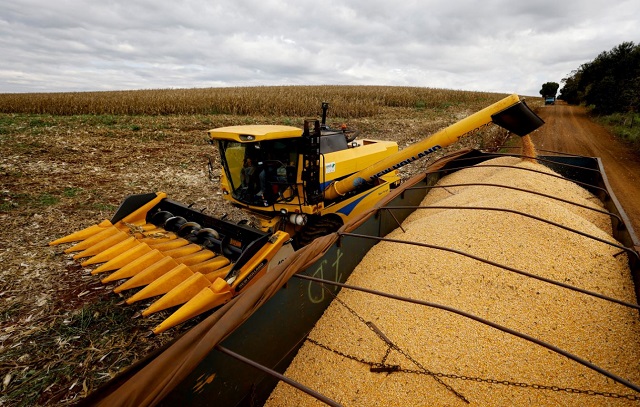 PIB da agropecuária cresce 18% no ano