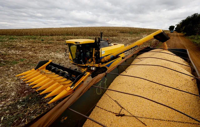 PIB da agropecuária cresce 18% no ano