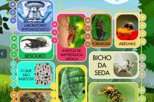 Público poderá visitar de forma virtual o único zoológico de insetos do Brasil