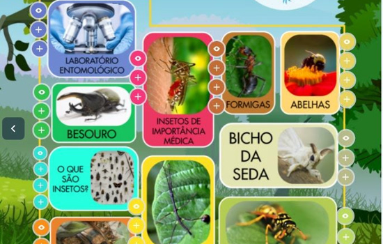 Público poderá visitar de forma virtual o único zoológico de insetos do Brasil