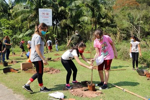 Parque do Pedroso ganha 100 mudas nativas no Dia da Árvore