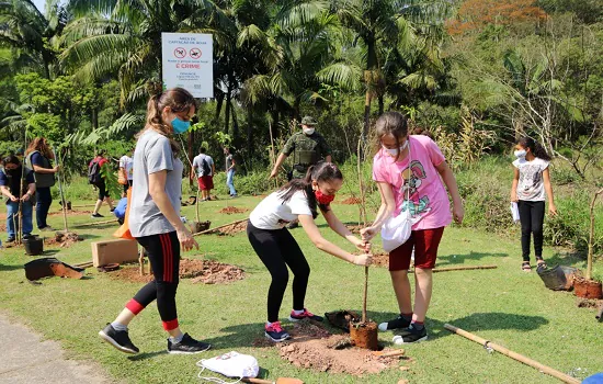 Parque do Pedroso ganha 100 mudas nativas no Dia da Árvore