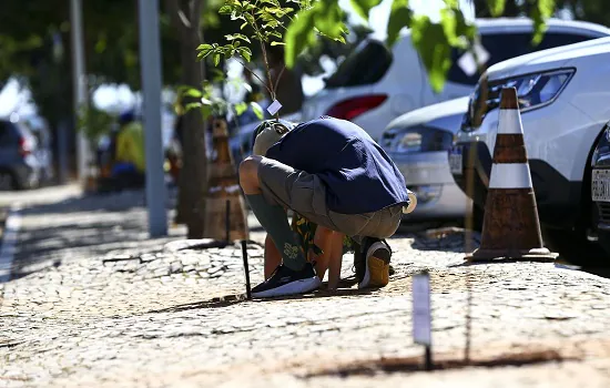 Programa de sustentabilidade do Planalto planta ipês em estacionamento