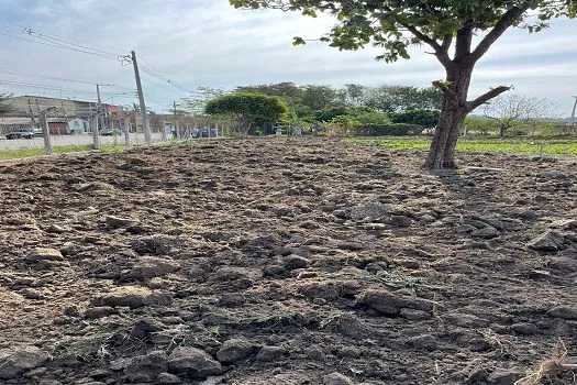 Casa da Fonte plantará 1000 árvores em Jundiaí