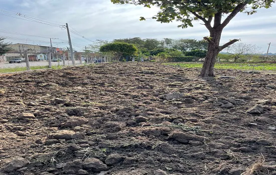 Casa da Fonte plantará 1000 árvores em Jundiaí